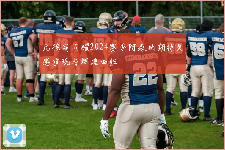 厄德高闪耀2024赛季阿森纳期待灵感重现与辉煌回归
