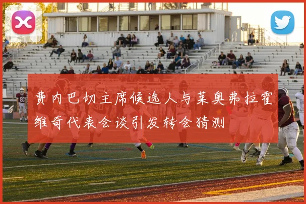 费内巴切主席候选人与莱奥弗拉霍维奇代表会谈引发转会猜测